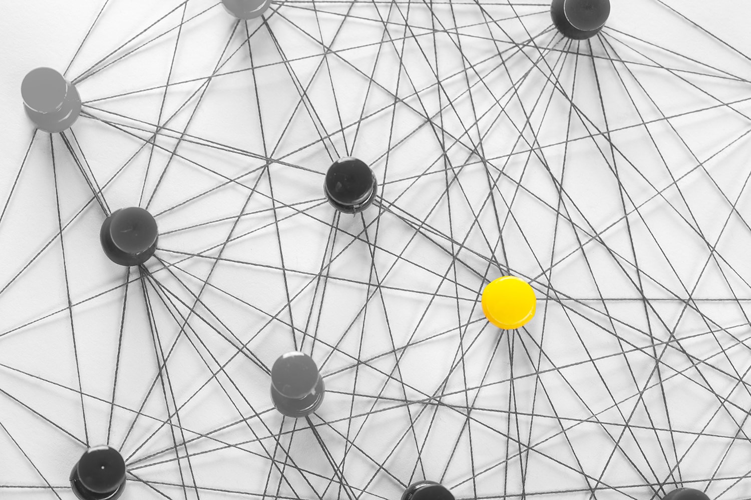 La rete dell’investitore