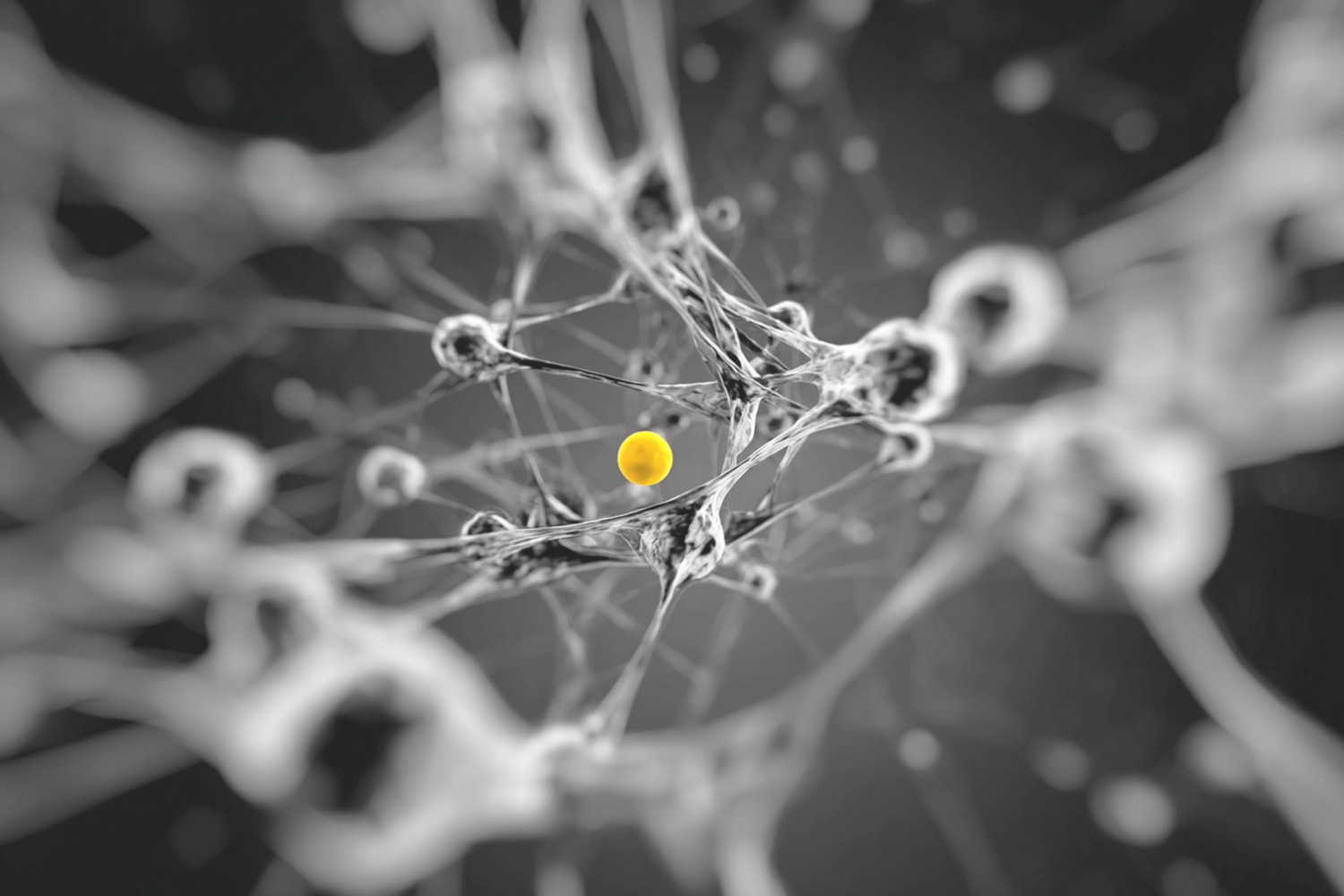 Nel mondo iperconnesso