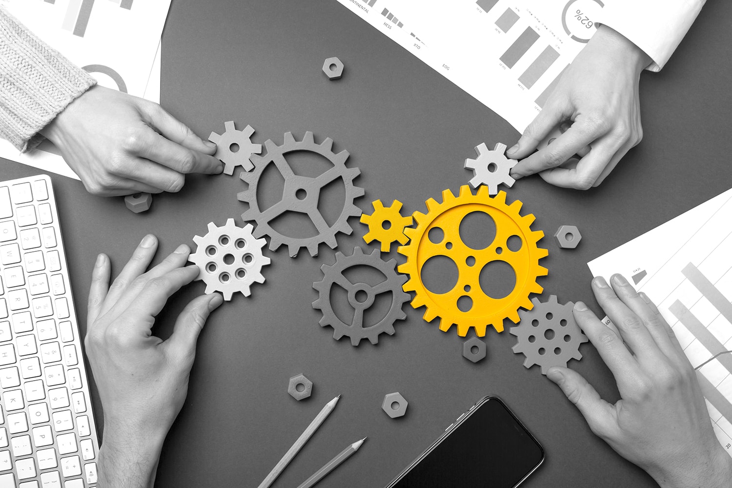 Insight Non solo numeri